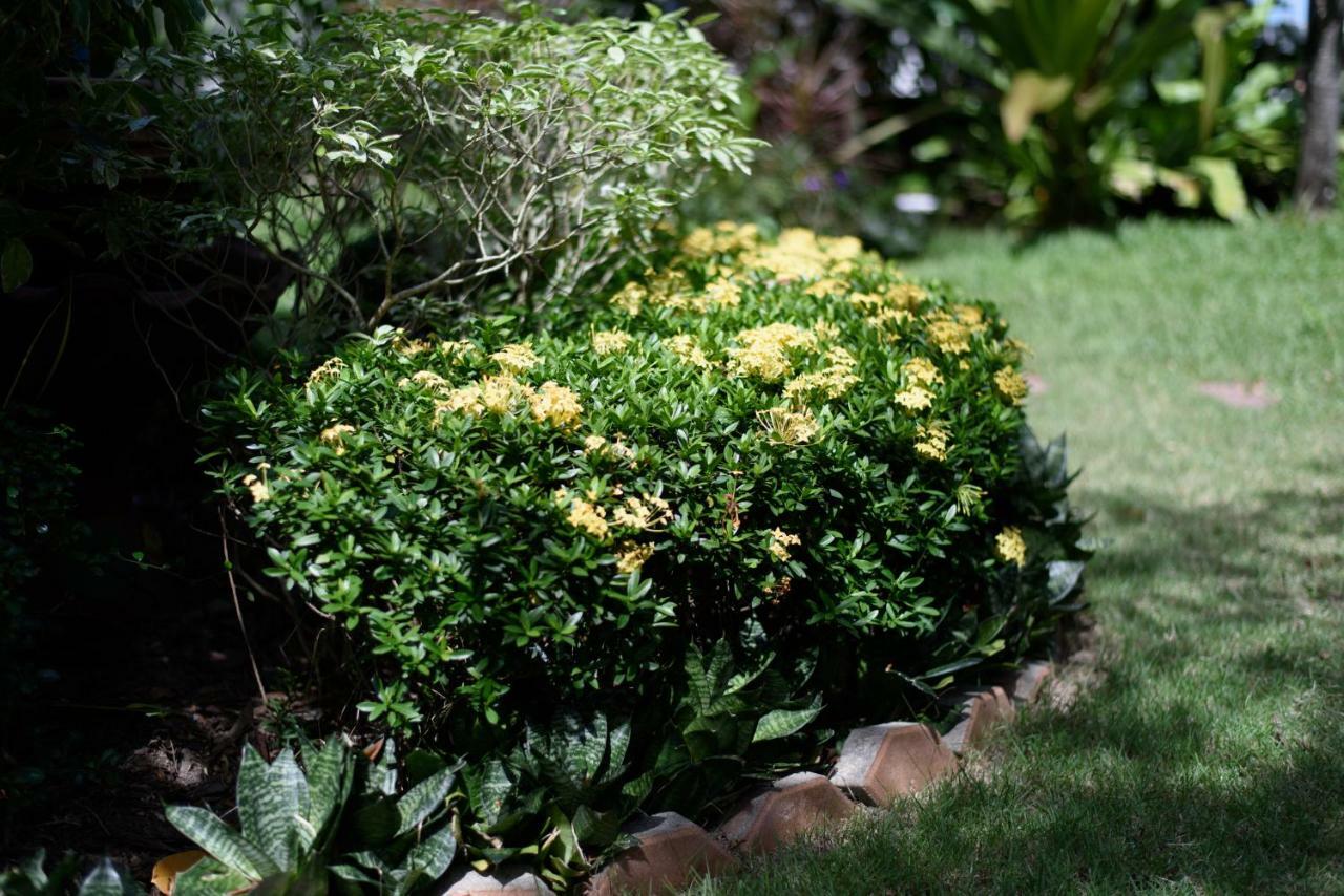 Baan Kratom Tong By The Sea Villa ชะอำ ภายนอก รูปภาพ